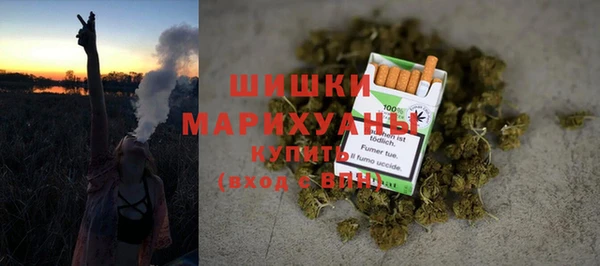 ПСИЛОЦИБИНОВЫЕ ГРИБЫ Алзамай